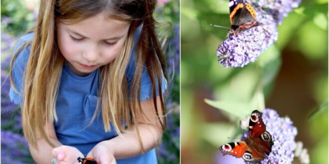 Princess Charlotte Cradles Butterfly In New Photo Taken By Duchess Kate