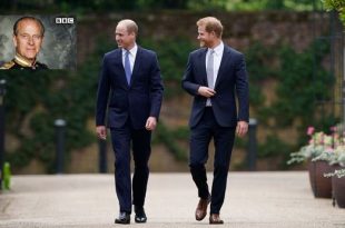 William And Harry Reunite In First Trailer For Heartwarming Documentary