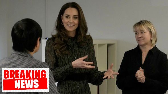 Duchess Kate Marks Milestone of Initiative Launched With William, Meghan and Harry