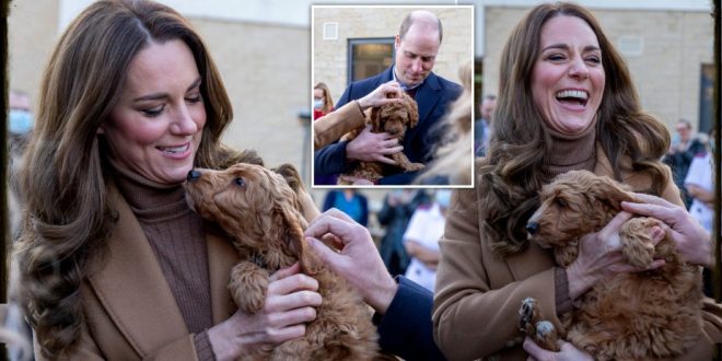 William And Kate Meet Therapy Puppy At Lancashire Hospital