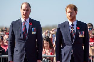 Prince William ‘Shocked and Appalled’ How Prince Harry React To His Recent Security Concerns