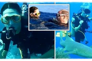 William And Kate Dive With Sharks In New Pictures