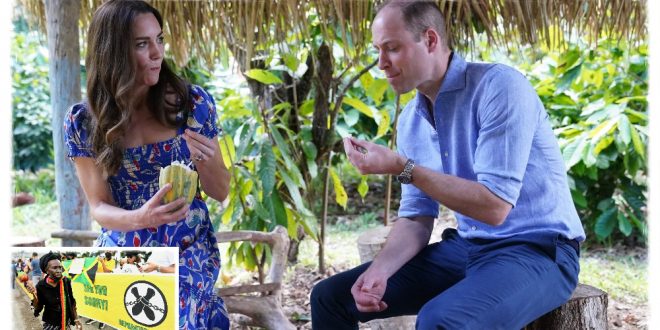 The Cambridges Are Facing More Protests Ahead Of Bahamas Visit