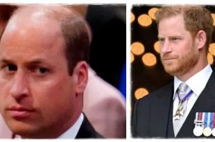 Prince Harry Tried To Look At William But He Refused To 'Make Eye Contact'