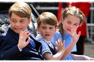 The Reason Why George And Charlotte Always Wear Blue