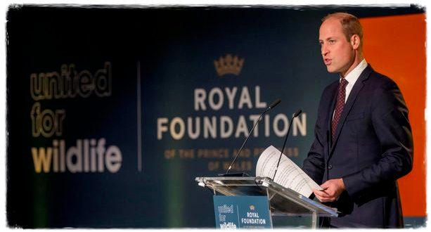Prince William Pays Tribute To 'Much-Missed' Grandmother In His First Speech As Prince Of Wales