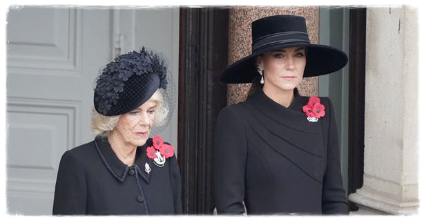 Princess Kate Made a Gesture of Polite Concern to an Anxious Camilla at Remembrance