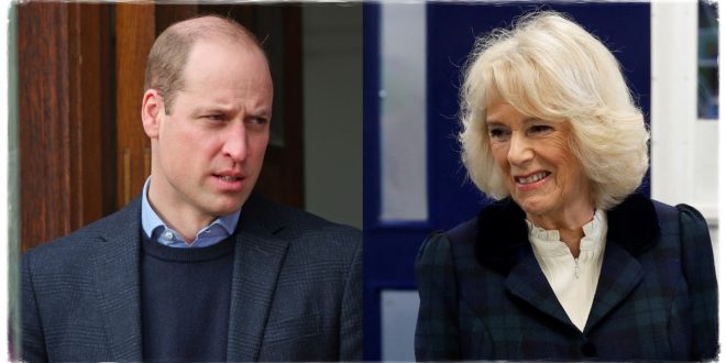 Camilla May Upset Prince William At the Coronation As She Is Set To Pose With A Jewel That He Wanted 'Destroyed'