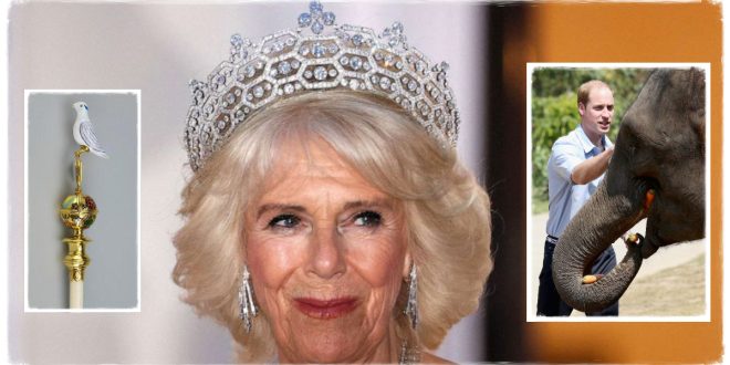 Queen Consort Camilla Could Ditch Age-old Coronation Tradition In A Bid To Appease Prince William