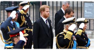 Royal Family Will Keep Prince Harry "low-key" At The King's Coronation In Order To "Protect" Him