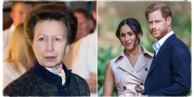 With A Subtle Jab Princess Anne Aays What She Actually Thinks Of Meghan And Harry