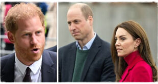 Prince William And Princess Kate Extremely Irritated By Harry’s Queen Anniversary Plans