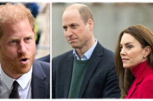 Prince William And Princess Kate Extremely Irritated By Harry’s Queen Anniversary Plans