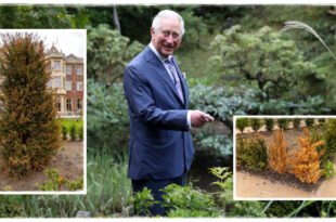 King Charles' Garden In A Very Bad State As Latest Photos Reveal Works In The Royal Grounds