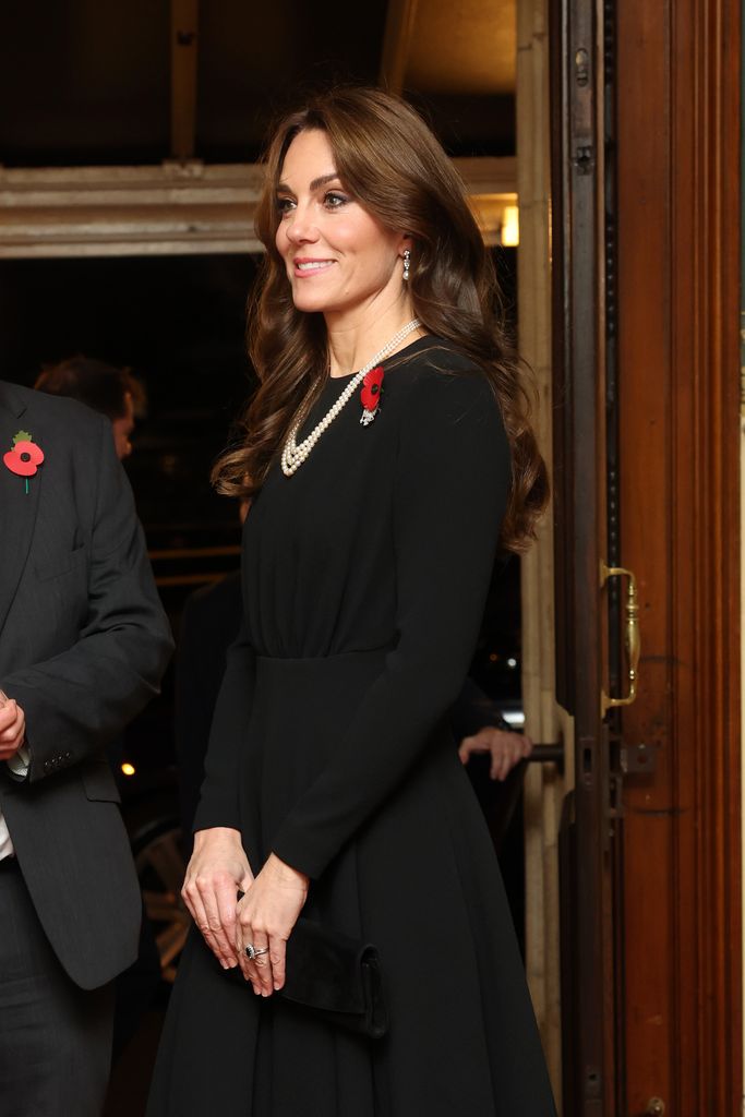 The Princess of Wales looked regal as she spoke with guests