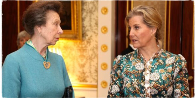Princess Anne and Duchess Sophie Host Special Palace Reception on Behalf of King Charles