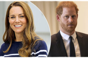 Princess Kate Would Only See Prince Harry During His UK Tour Under One Condition