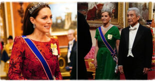 Duchess Sophie Paid Tribute To Princess Kate At The State Banquet As Kate Continues Her Recovery