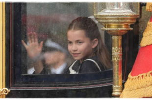 Princess Charlotte's Sweet Gesture During Carriage Ride To Stop Rain From Spoiling Trooping Parade