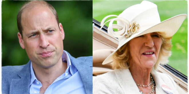 Royal Shake-Up: Prince William Cuts Queen Camilla's Sister from Payroll