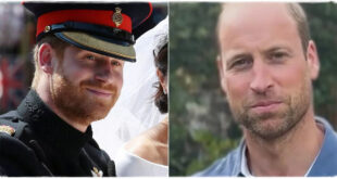 Why Prince Harry Kept His Beard While Prince William Had to Shave: The Real Reason Revealed