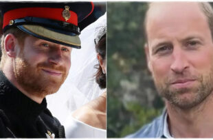 Why Prince Harry Kept His Beard While Prince William Had to Shave: The Real Reason Revealed