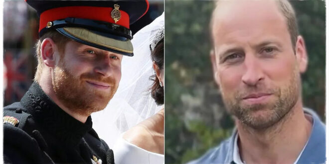 Why Prince Harry Kept His Beard While Prince William Had to Shave: The Real Reason Revealed