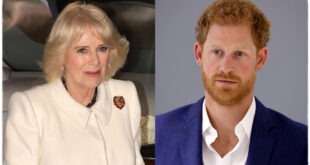 Queen Camilla Called Prince Harry's 'Wicked Stepmother' in Controversial Channel 4 Doc