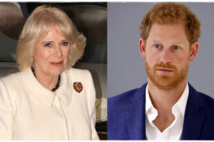 Queen Camilla Called Prince Harry's 'Wicked Stepmother' in Controversial Channel 4 Doc