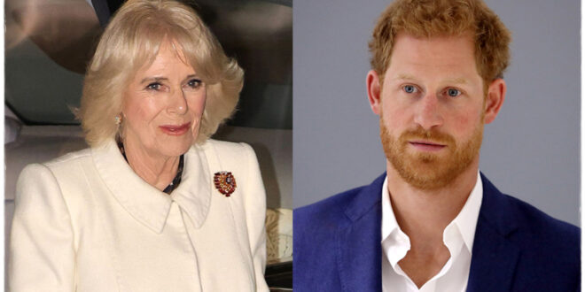 Queen Camilla Called Prince Harry's 'Wicked Stepmother' in Controversial Channel 4 Doc