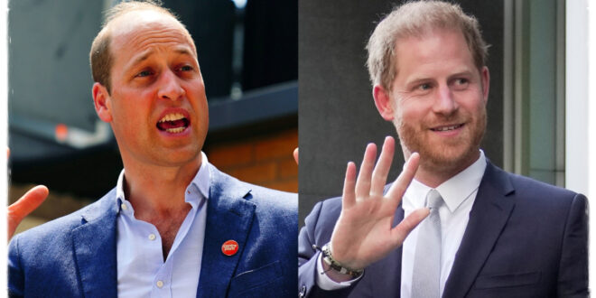 Prince William Plans Surprise Move for Harry's Birthday 'Through Gritted Teeth,' Says Expert