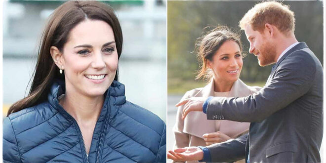 Expert Claims Princess Kate Has Given Up on Being Prince Harry’s Peacemaker