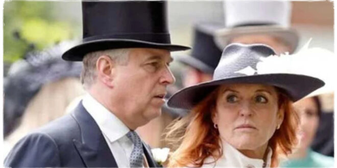 Sarah Ferguson Travels Solo for Christmas, Leaving Prince Andrew Behind