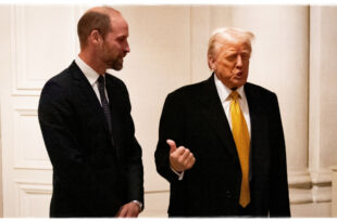 Donald Trump’s Five Words to Prince William That Sparked a Beaming Smile