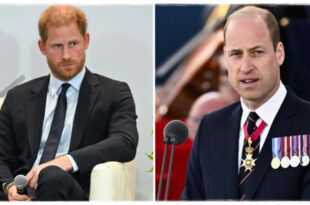 Prince Harry and Prince William's 'Inseparable Bond' Was a Myth as Duke Reveals Unhappiness