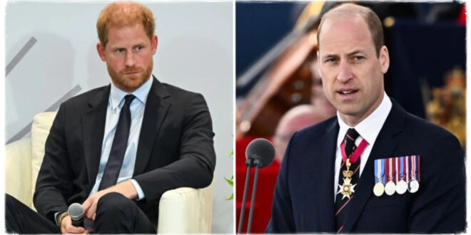 Prince Harry and Prince William's 'Inseparable Bond' Was a Myth as Duke Reveals Unhappiness