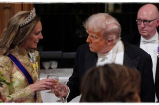 Kate Middleton wearing her gold gown at the state banquet while under scrutiny and facing pressure