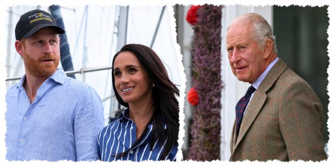 Prince Harry and Meghan Markle as reports claim they would prefer to be described as public figures rather than private citizens