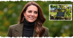 Princess Kate attending a royal engagement as attention turns to a subtle gesture that reportedly went unnoticed